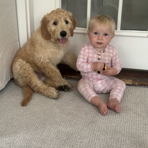 Fundraising Page: Isabel Nellen